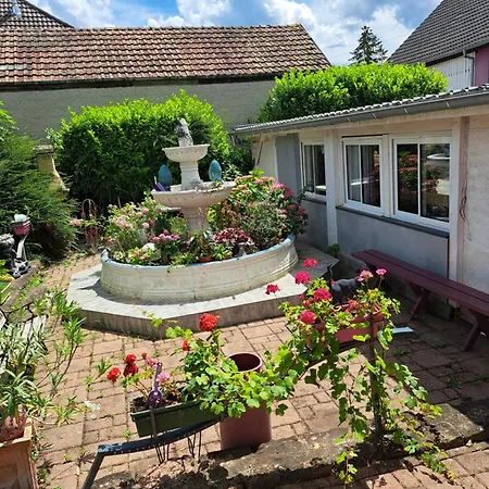 Domaine Du Vieux Moulin Apartment Westhalten Exterior photo