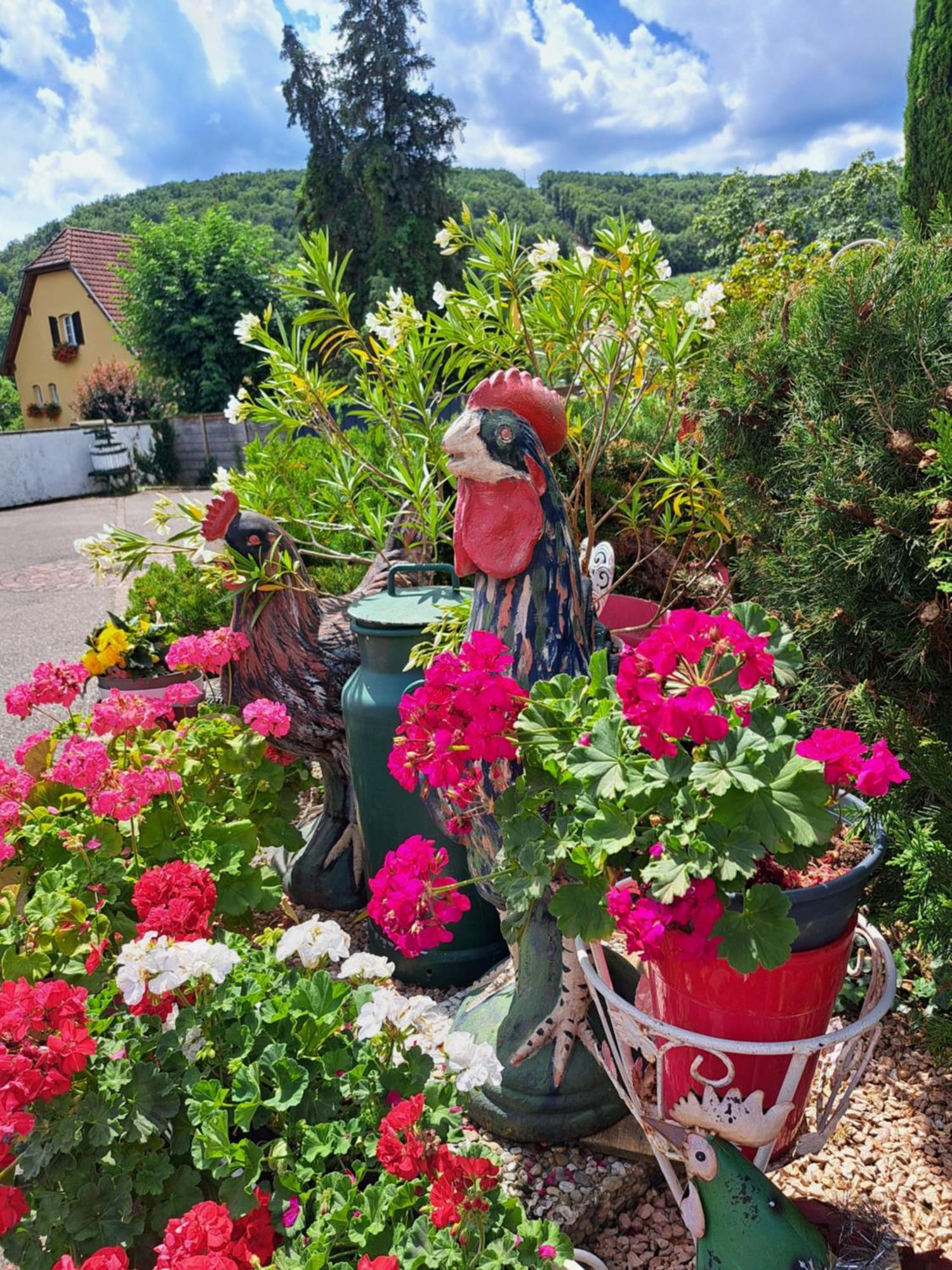 Domaine Du Vieux Moulin